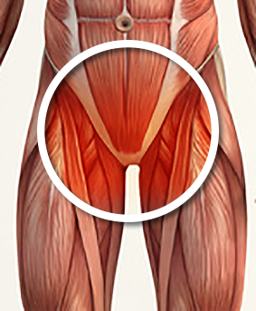 Pubalgie adducteurs et pariéto abdominale